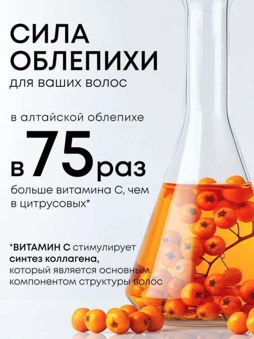 "NS" OBLEPIKHA ШампуньЗАПАСКА Глубокое Очищ.и Уход д/норм.жирных волос 500мл