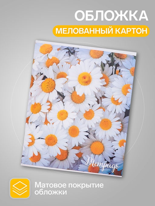 Набор тетрадей, 96 листов в клетку Calligrata "Цветы-1", серые листы, 4 штуки