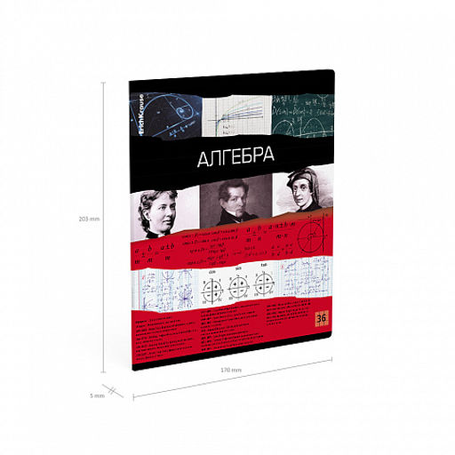 Цена за 5 шт. Тетрадь общая ученическая ErichKrause Timeline, Алгебра, 36 листов, клетка  фото 4