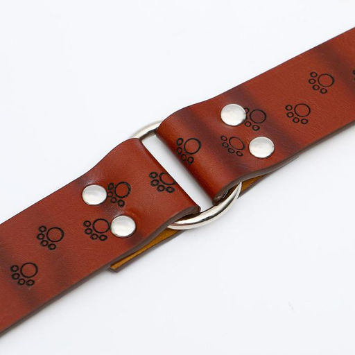 Ошейник с основой из термопластичной резины с тиснением Лапки, 58 х 2,7 см - Пижон фото 5