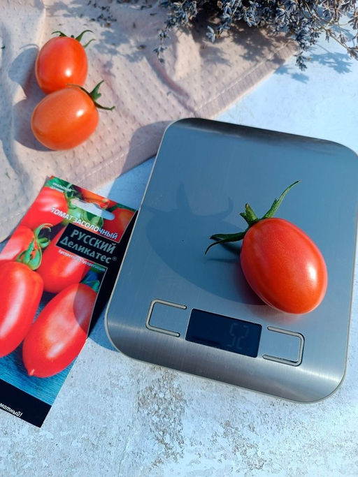 Томат ЗАСОЛОЧНЫЙ РУССКИЙ ДЕЛИКАТЕС Скороспелый! Сверхурожайный! Невероятно вкусный и ароматный! - Уральский дачник фото 5