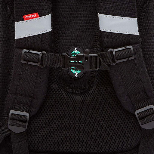 RAz-587-6 Рюкзак школьный - Grizzly фото 40