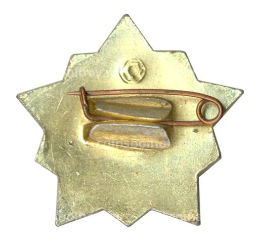 Значок Воин-спортсмен II ступень