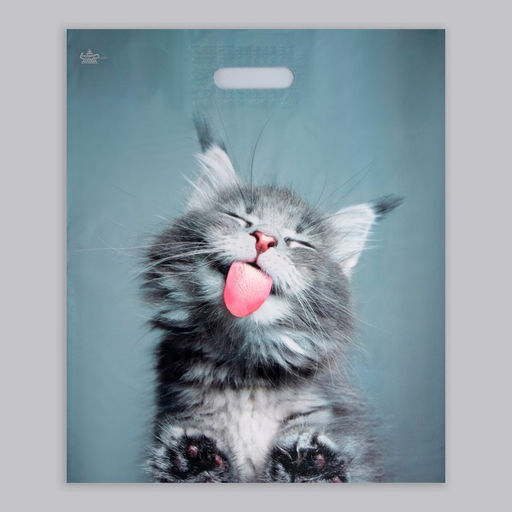 Цена за 50 шт. Пакет «Кот», полиэтиленовый, с вырубной ручкой, 38×45 см, 60 мкм