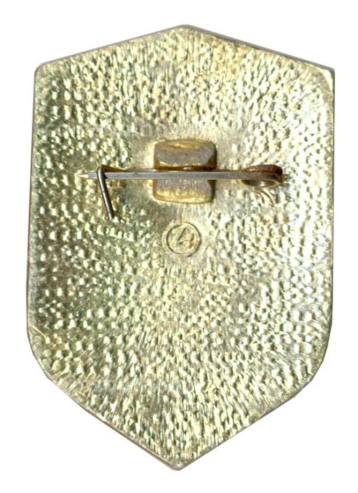 Значок Всероссийское Добровольное Пожарное Общество (ВДПО)