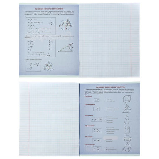 Набор предметных тетрадей Calligrata «Неон», 10 предметов, 48 листов, со справочным материалом, обложка из мелованного картона, УФ-лак, блок офсет