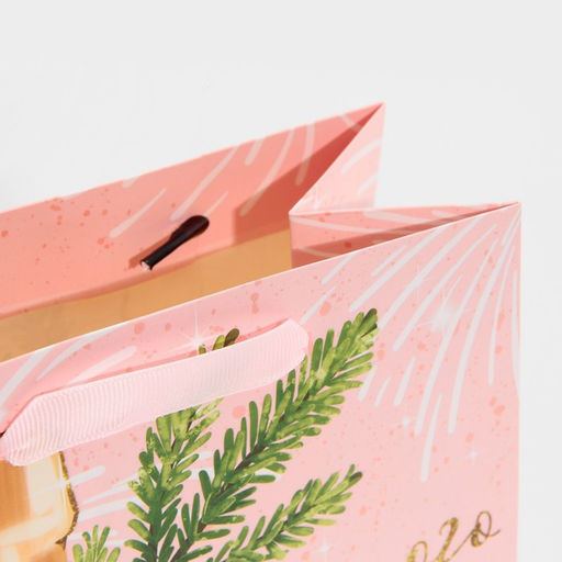 Цена за 2 шт. Пакет подарочный новогодний ламинированный «Для тебя», MS 18 х 23 х 10 см