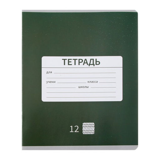 Комплект тетрадей из 10 штук 12 листов в частую косую линию Однотонная Новая Школьная, обложка мелованная бумага, ВД-лак, блок офсет - Calligrata фото 7