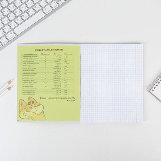 Предметная тетрадь, 48 листов, ПЕРСОНАЖИ, со справочными материалами Физика, обложка мелованный картон 230 гр., внутренний блок в клетку 80 гр., белизна 96% - Artfox study фото 3