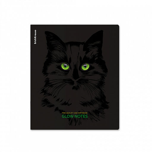 Цена за 5 шт. Тетрадь общая ученическая ErichKrause Gaze, 48 листов, клетка, ламинация soft-touch+выборочный УФ-лак_MIX-PACK фото 4