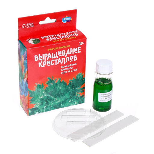 Набор для творчества Лучистые кристаллы, цвет зелёный - Школа талантов фото 2