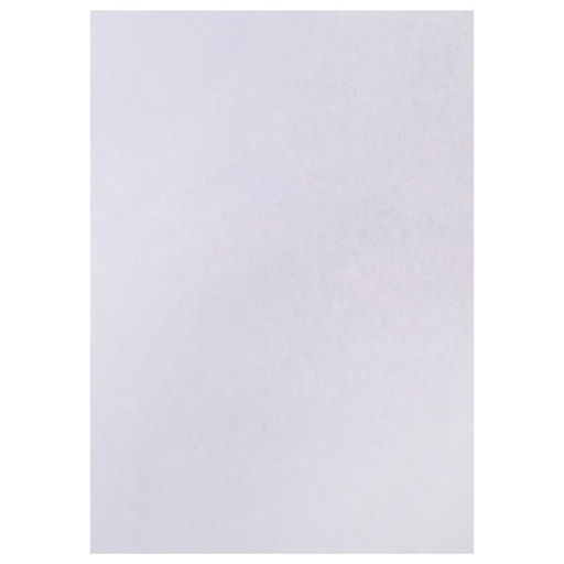 Набор 5 листов, ватман, чертежный, А0, 840×1189, 160 г/м²