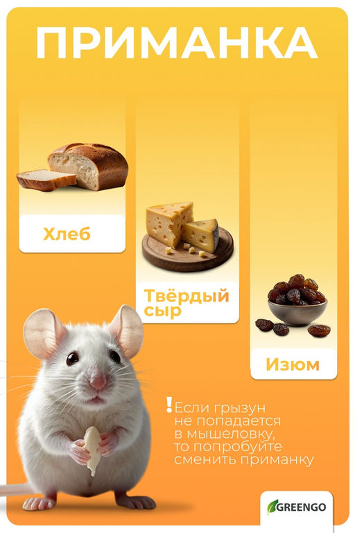 Цена за 2 шт. Крысоловка, 6 × 12 см, деревянная, Greengo