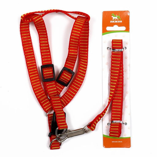 Комплект амуниции рельефный, поводок 120 х 1,5 см, ОГ 36-49 см, красно-жёлтый - Пижон фото 7