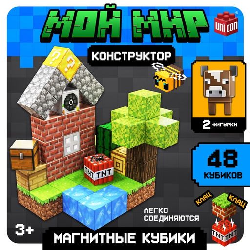 Конструктор Магнитные кубики. Мой мир, 2 фигурки, 48 деталей
