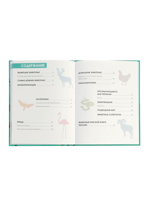 Энциклопедия «Животные»