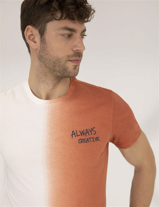 Kahverengi Slim Fit Degrade Ge_i_li Bisiklet Yaka Ti__rt - Pierre cardin фото 3