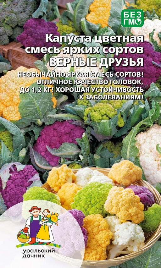 Капуста цветная ВЕРНЫЕ ДРУЗЬЯ Необычайно яркая смесь сортов! Отличное качество головок, до 1,2 кг! Хорошая устойчивость к заболеваниям!