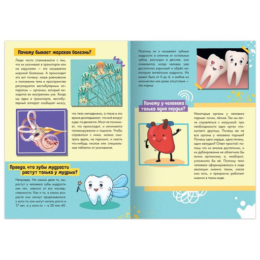 Книга обучающая Как, зачем, почему? Секреты нашего тела, 16 стр. - Буква-ленд фото 3