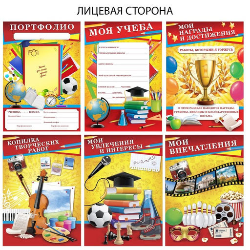 Папка школьная на кольцах «Портфолио школьника», 6 листов-разделителей, 24.5×32 см