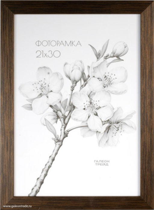 Фоторамка 21х30 / ZR208A-176 /уп10