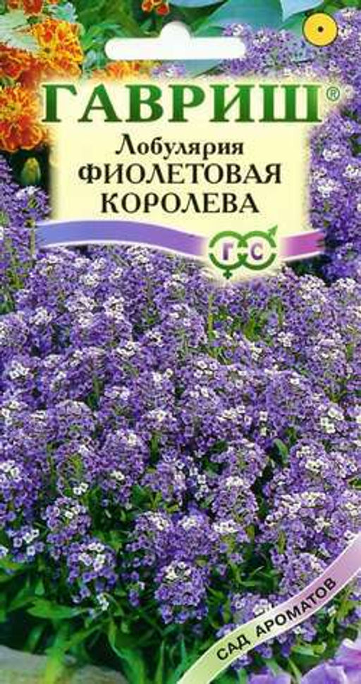 Лобулярия Фиолетовая королева 0,2г (г)