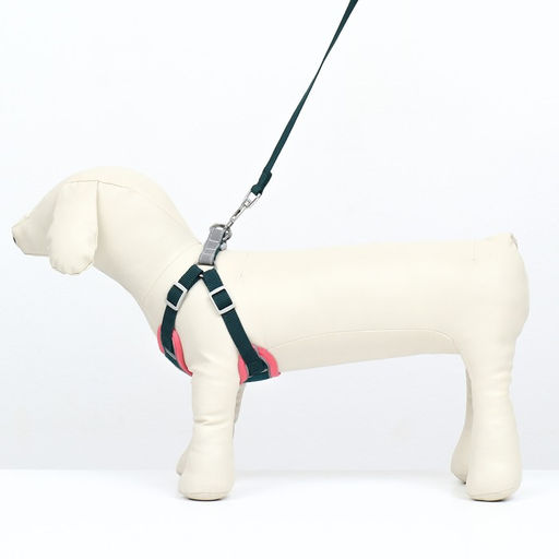 Комплект Sport+, М, поводок 120 x 1,5 см, ОШ 44-48 см, ОГ 51-60 см, вес животного 14-20 кг, зелёный - Пижон фото 2