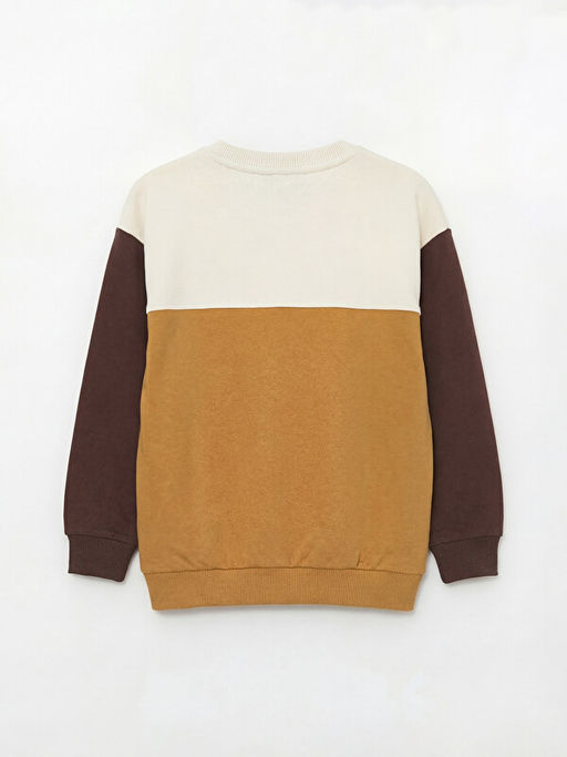 Bisiklet Yaka Renk Bloklu Erkek ?ocuk Sweatshirt