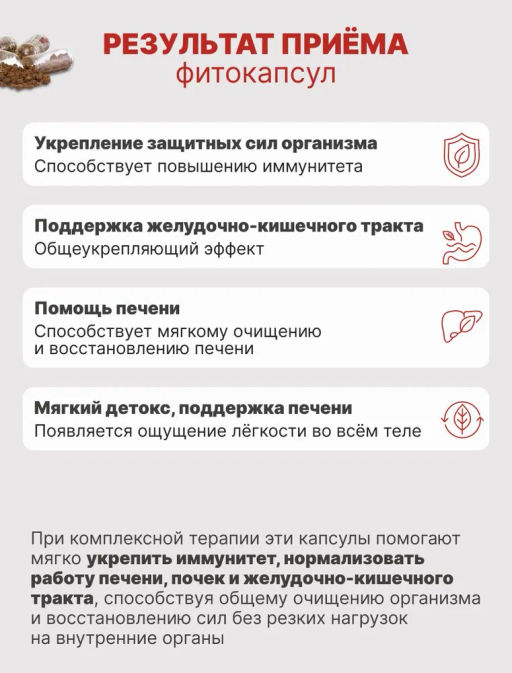 Грибная серия БАД Капсулы Чага и рейши с корнем лопуха Алфит 1237 фото 6