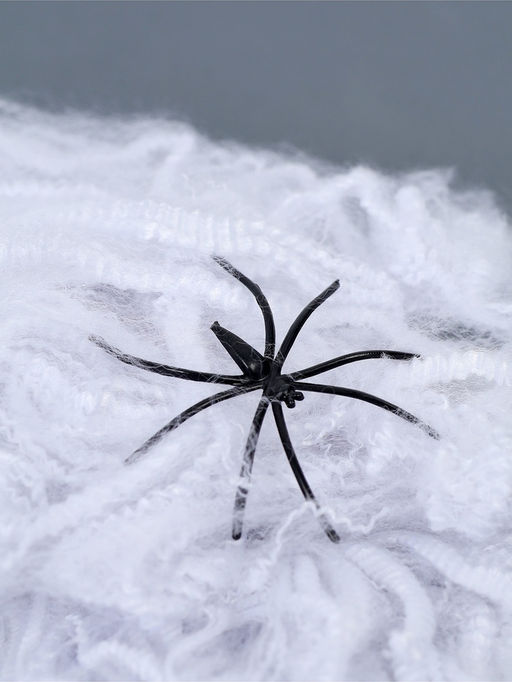 Цена за 2 шт. Прикол «Паутина и 2 паука»