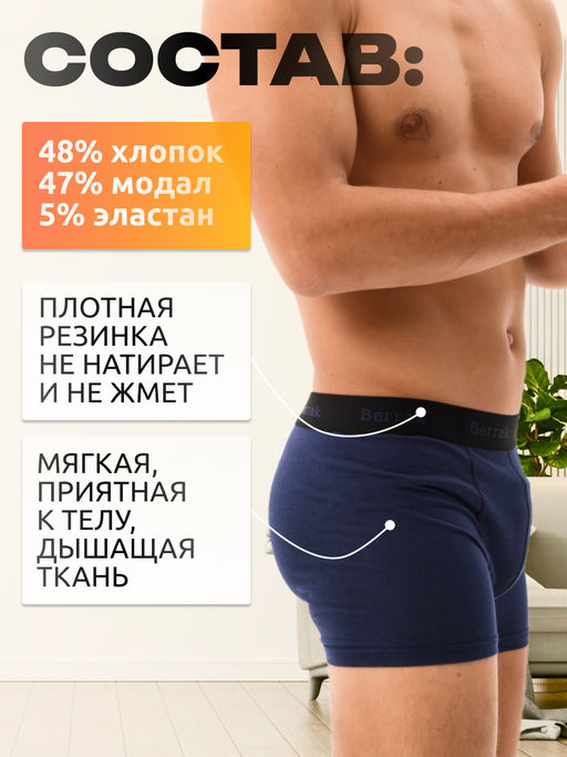 Мужские трусы Berrak 4476  фото 2