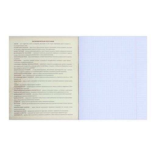 Цена за 4 шт. Тетрадь предметная Мрамор светлый 48 листов в клетку География, со справочным материалом, обложка мелованный картон, УФ-лак, блок офсет - Calligrata фото 2