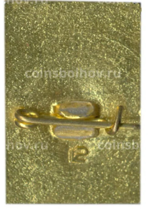 Значок Петродворец