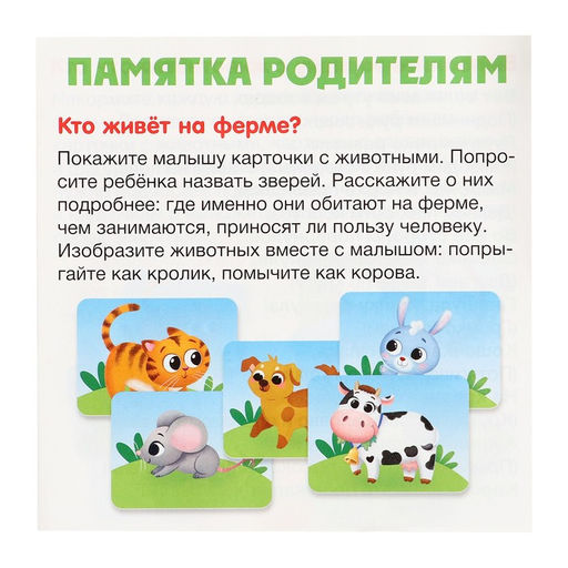 Развивающий набор Покорми зверюшку - Iq-zabiaka фото 8
