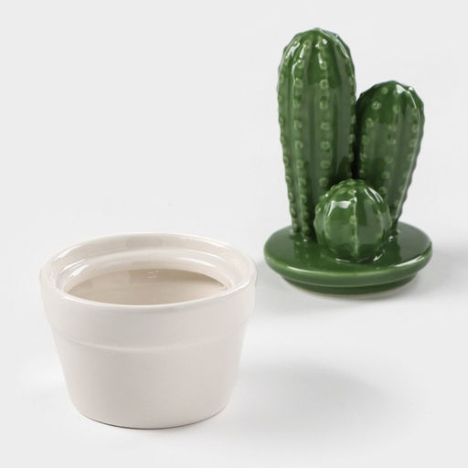 Банка для хранения сыпучих продуктов Доляна «Кактус», 170 мл, 8×8×15 см, керамическая