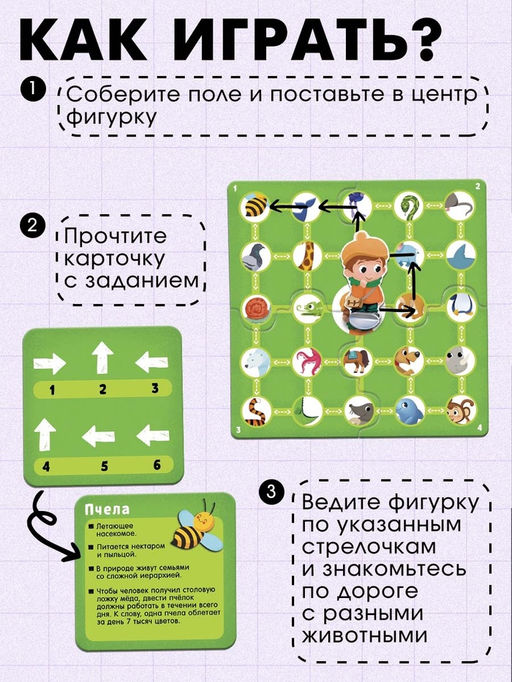 Развивающая игра Пройди по стрелкам. Изучаем животных, 24 карточки, 3+ - Iq-zabiaka фото 2