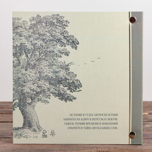 Родословная книга с рамкой под фото «Семейная», 21.5×23.7 см.