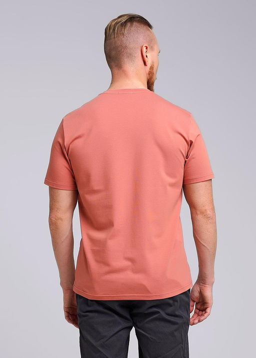 CLE Футболка муж. 542300/03гг_п терракотовый - Clever wear фото 5