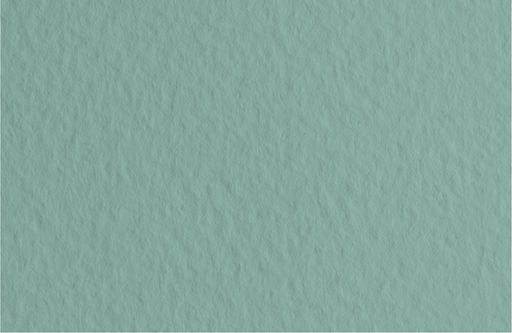 Fabriano Бумага для пастели Tiziano 160 г/м2 A2+ 50 х 65 см лист 10 л. Salvia/Темно-шалфейный 52551013