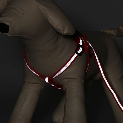 Комплект Спорт светоотражающий, поводок 120 х 1 см, ОГ 23-35 см, красный - Пижон фото 2