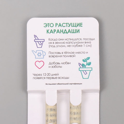Набор для выращивания, карандаши подарочные «Ромашка + Лаванда», mini, простые чернографитные, 2 шт.