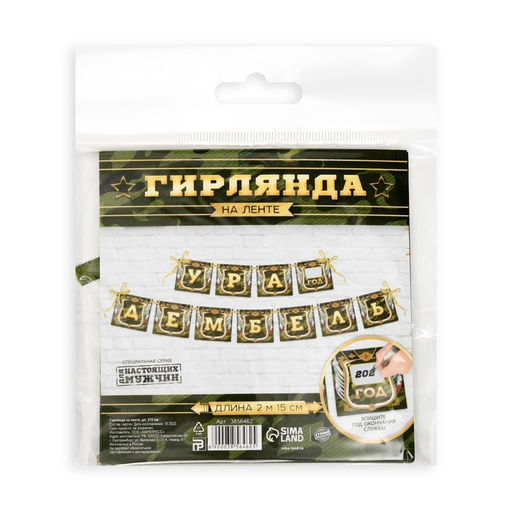 Гирлянда на ленте Дембель, длина 215 см