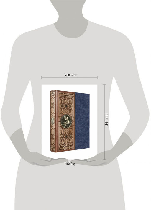 История русской живописи. Книга в коллекционном кожаном инкрустированном переплете ручной работы с окрашенным и золоченым обрезом и многоцветным тиснением