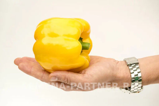 Перец сладкий Тавиньяно - Партнер фото 6