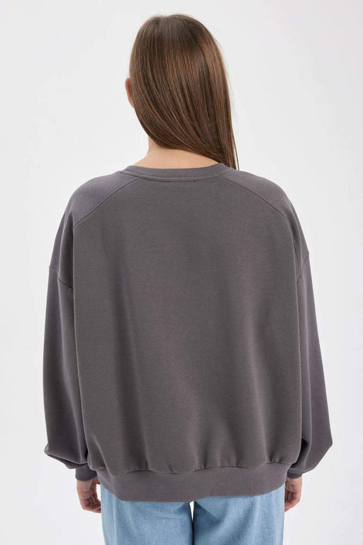 Толстый толстый свитшот Cool Oversize с круглым вырезом - Defacto фото 8