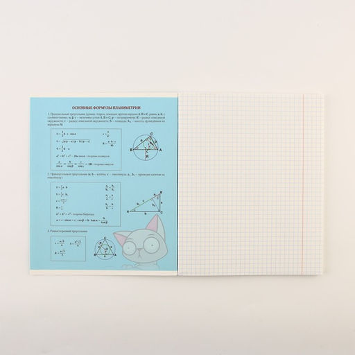 Тетради предметные, 48 л., А5, набор из 4 шт. «Персонажи»