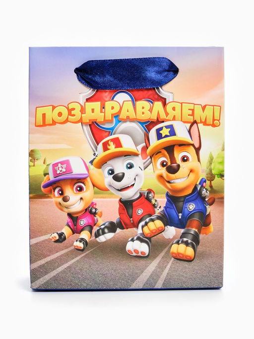 Цена за 4 шт. Пакет подарочный детский «Поздравляем», 12×15×5.5 см