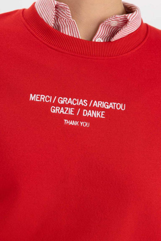 Толстый свитшот Relax Fit с круглым вырезом - Defacto фото 4