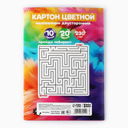 Цена за 2 шт. Картон цветной А4, 10 л., 20 цветов, двусторонний мелованный, в папке 230 г/м², БукиБяки