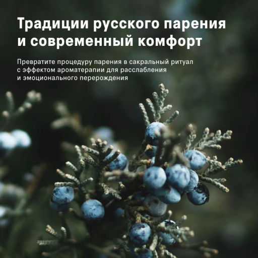 The Act Соль-скраб для тела Лес  фото 7
